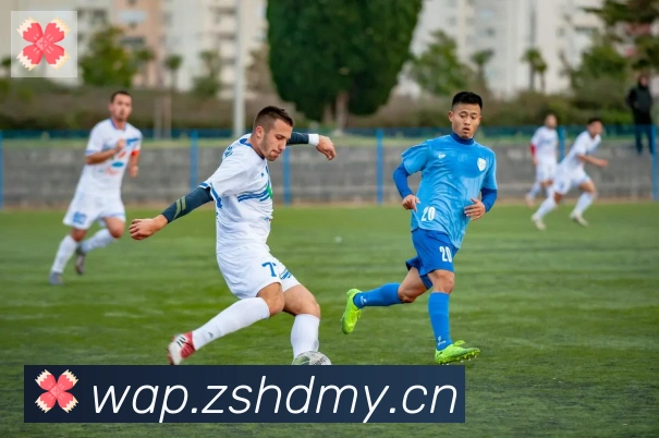 雅博体育app官方入口APP 高清赛事图